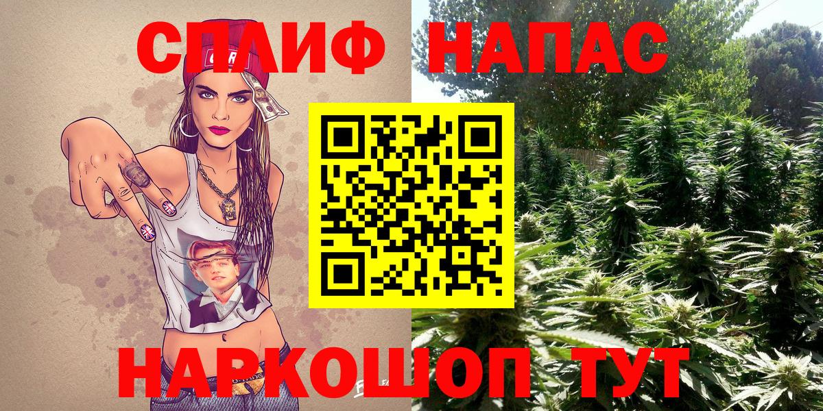 Бошки марихуана план  Марихуана план  Советск  Вход с VPN 